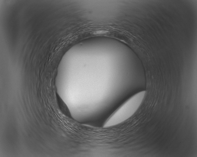 X0000085781441200703160947