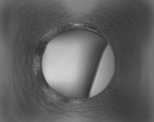 X0000085781443200703160947