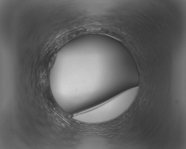 X0000085781445200703160947