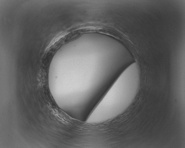 X0000085781448200703160946
