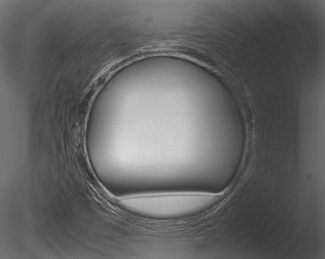 X0000085781449200703160946