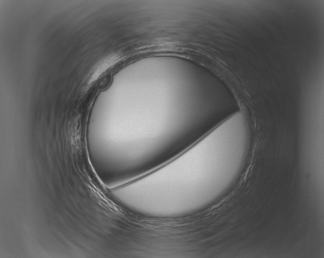 X0000085781450200703160946