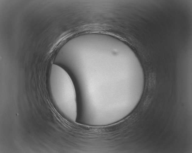 X0000085781451200703160946