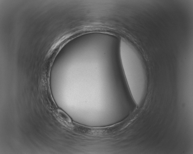 X0000085781453200703160946