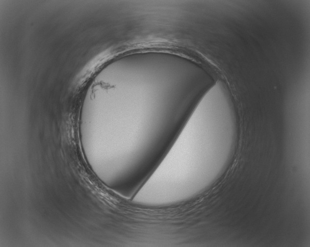 X0000085781455200703160946