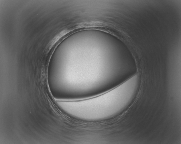 X0000085781457200703160946