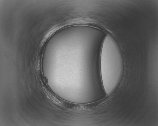 X0000085781459200703160946