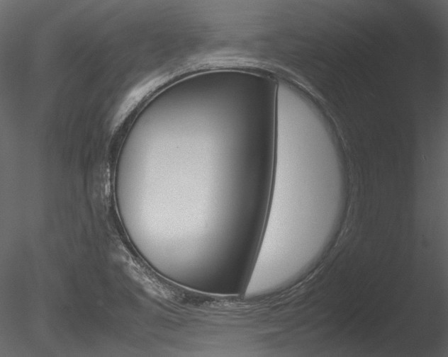 X0000085781461200703160946