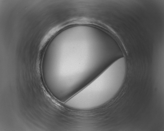 X0000085781464200703160946