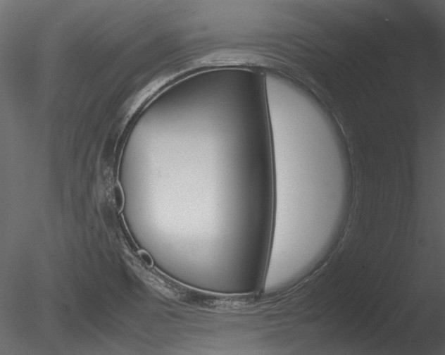 X0000085781465200703160946