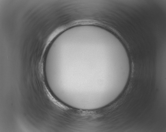 X0000085781466200703160946