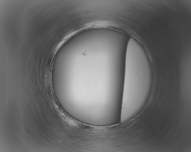 X0000085781473200703160946