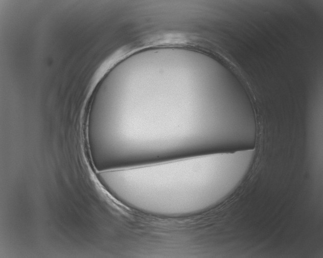 X0000085781475200703160946