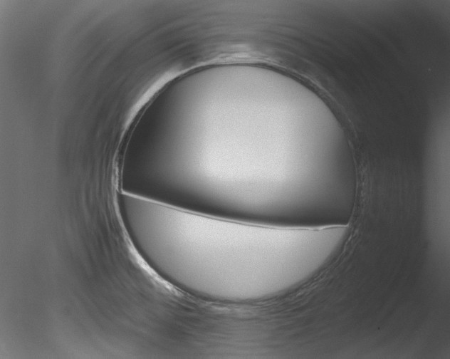 X0000085781476200703160946