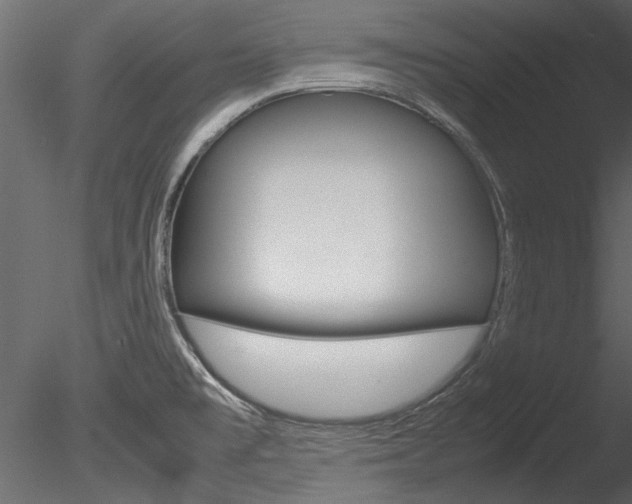 X0000085781477200703160946