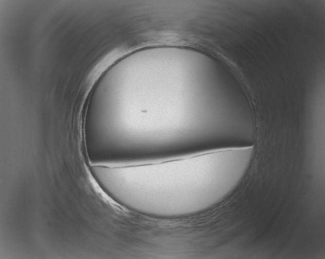 X0000085781479200703160946