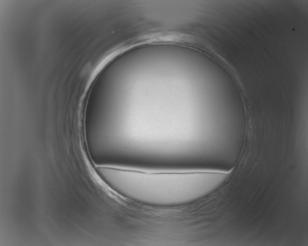 X0000085781483200703160946