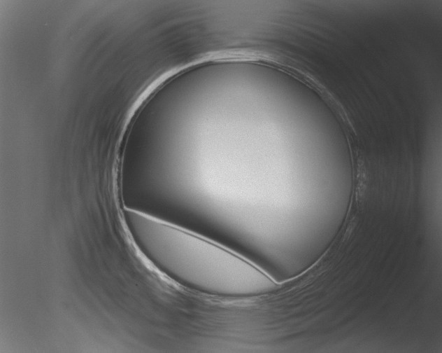 X0000085781484200703160946