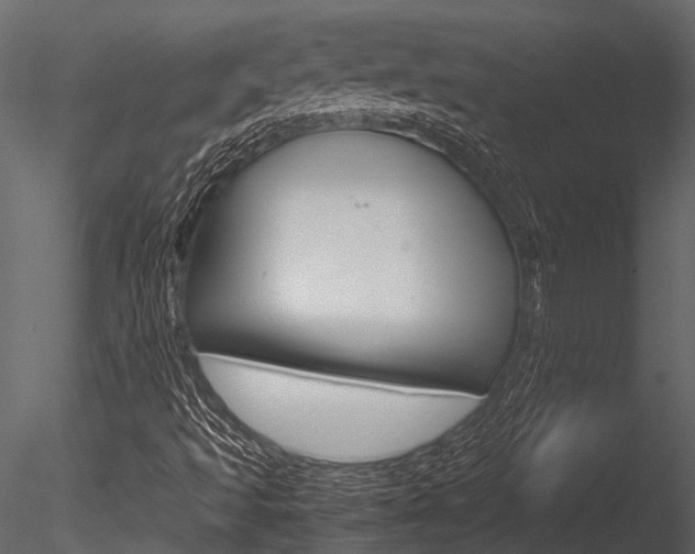 X0000085781493200703160945