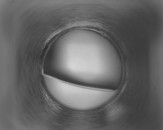 X0000085781497200703160945