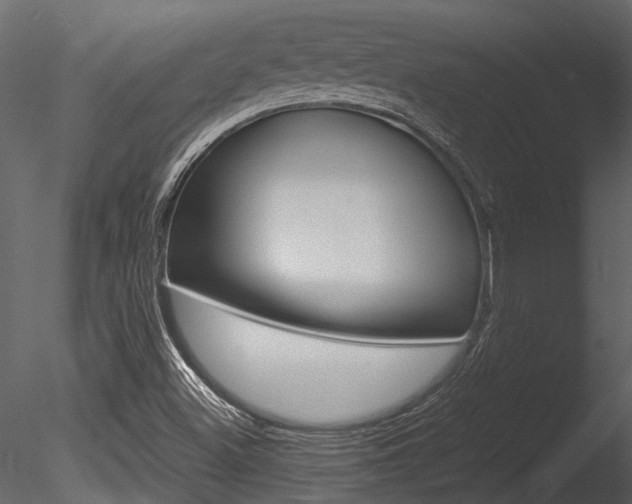 X0000085781500200703160945
