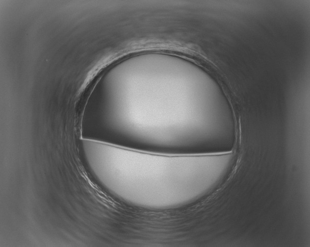 X0000085781501200703160945