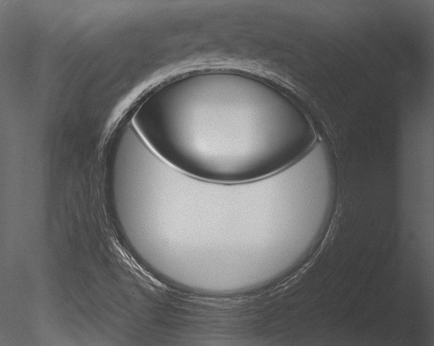 X0000085781502200703160945