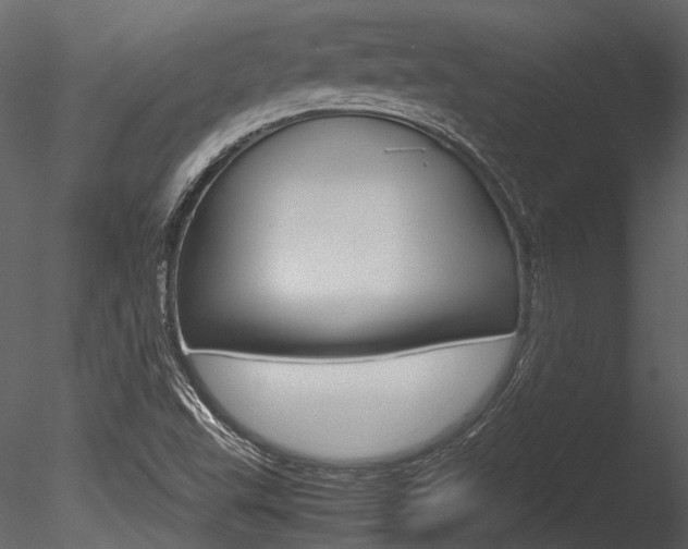 X0000085781503200703160945