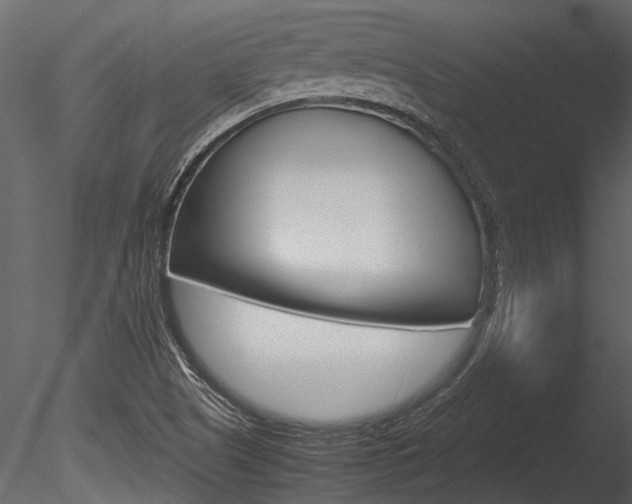 X0000085781505200703160945