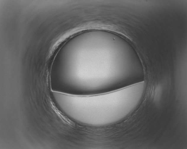 X0000085781507200703160945