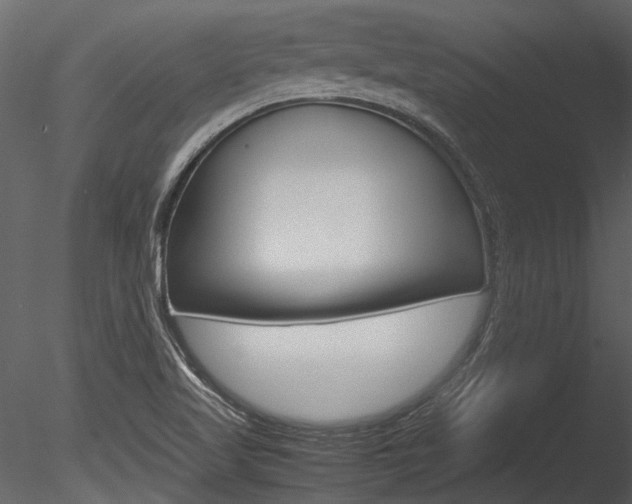 X0000085781509200703160945
