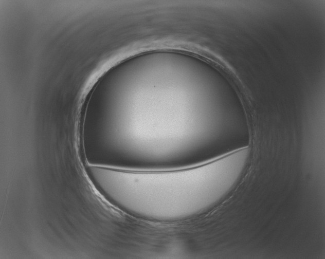 X0000085781512200703160945