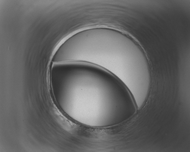 X0000085781516200703160945
