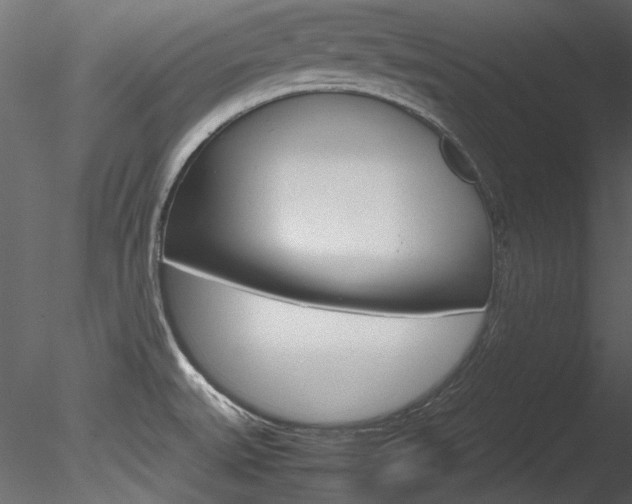 X0000085781527200703160946