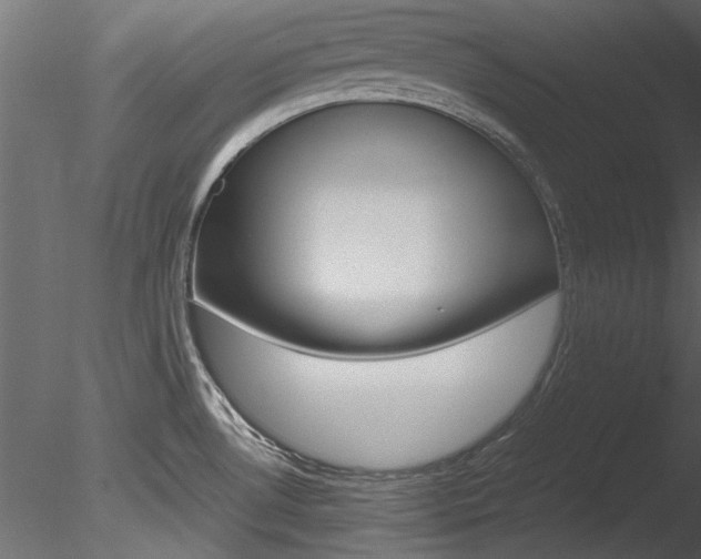 X0000085781530200703160946