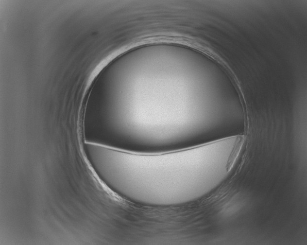 X0000085781533200703160946