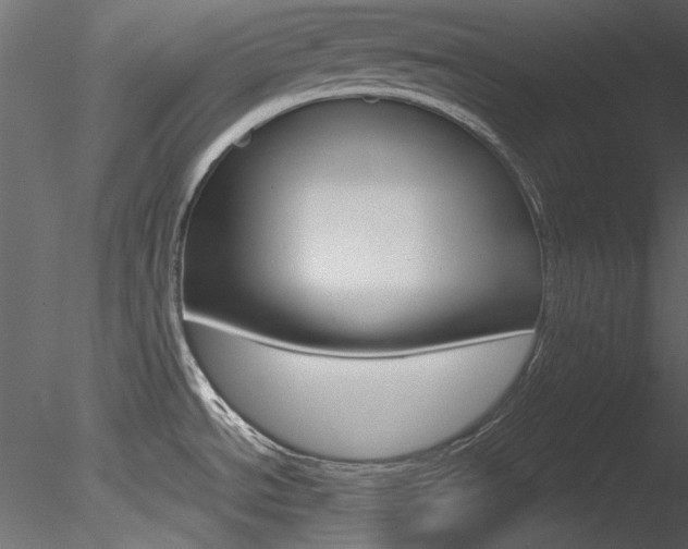 X0000085781534200703160946