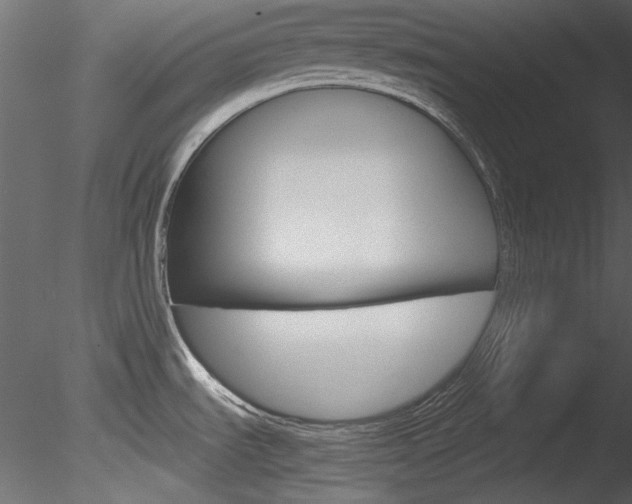 X0000085781535200703160946