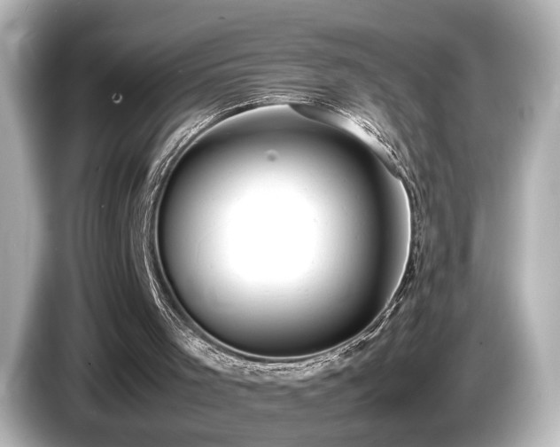 X0000085780001200703161216