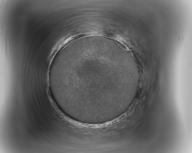 X0000085780002200703161216