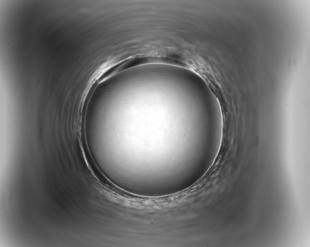 X0000085780003200703161216