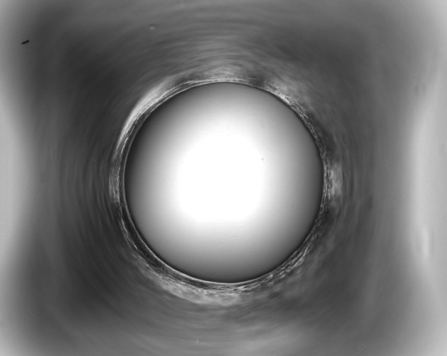 X0000085780004200703161216