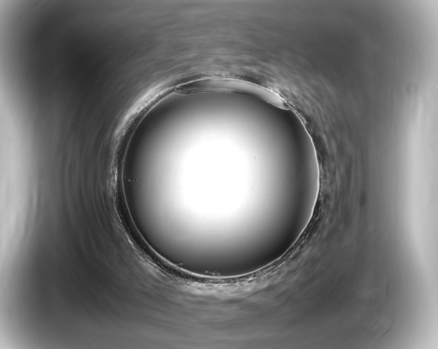 X0000085780005200703161216