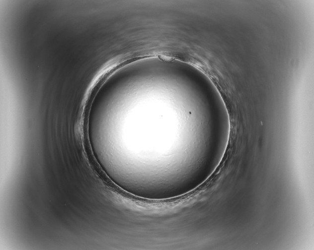 X0000085780006200703161216