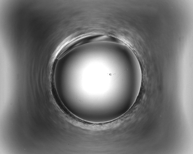 X0000085780007200703161216