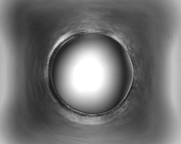 X0000085780008200703161216