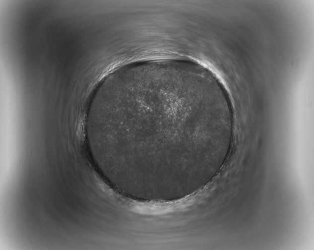 X0000085780009200703161216