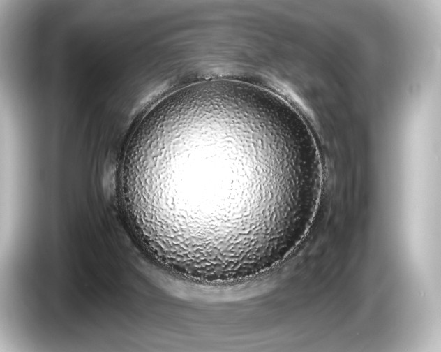 X0000085780010200703161216