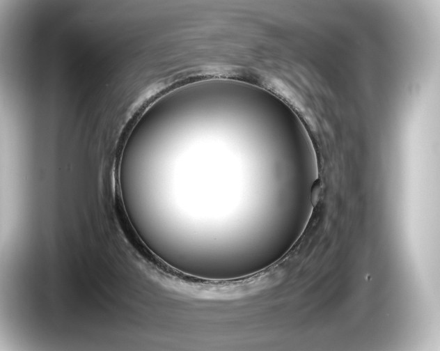 X0000085780011200703161216