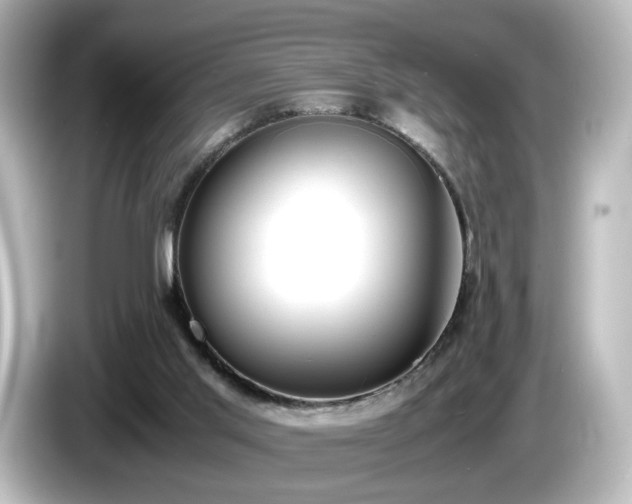 X0000085780013200703161216